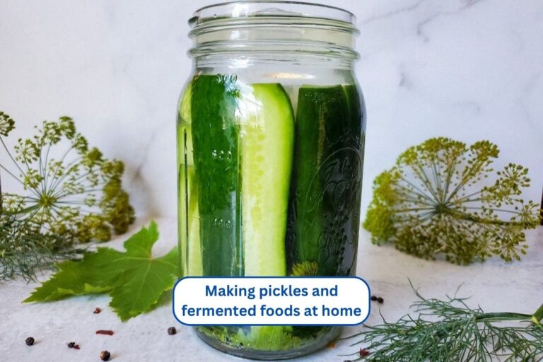 Making pickles and fermented foods at home